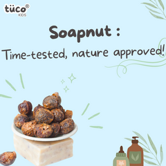Soapnut/ Reetha : Uses, Benefits & Side Effects